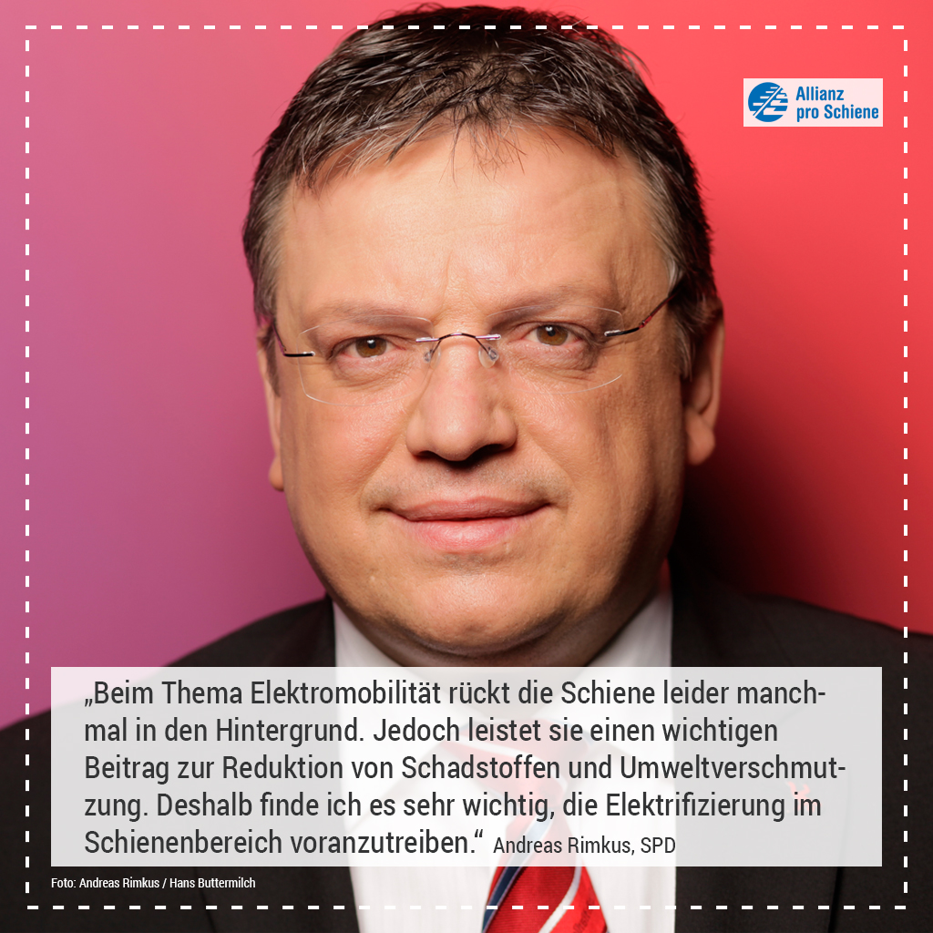 Elektrifizierung Andreas Rimkus, SPD