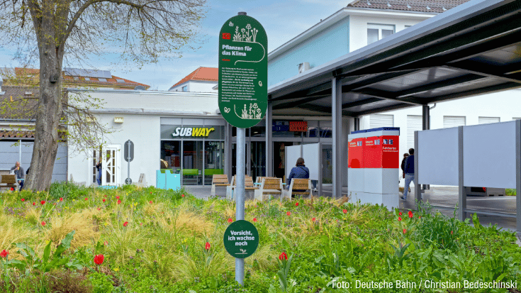 Mehr Platz für Pflanzen am Bahnhof Ansbach